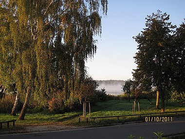 Blick über die verkehrsberuhigte Zufahrtsstraße des Ferienhauses "Sonne" am Feisnecksee